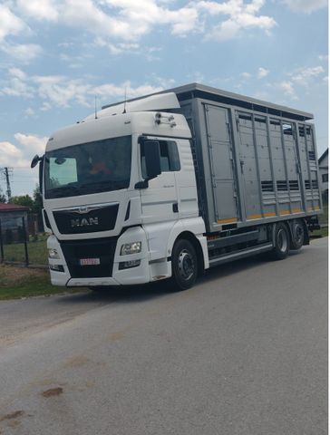 MAN TGX 26.440