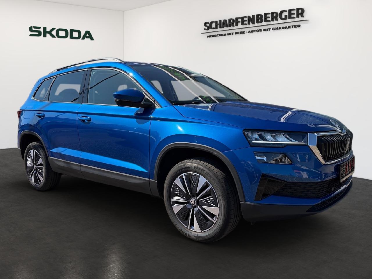 Skoda Karoq Selection DSG *Navi,ACC,RFK,LHZ*, миниатюра 2