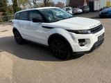 Land Rover Range Rover Evoque Dynamic Sport 2,2 Diesel - aus 2012: Evoque
