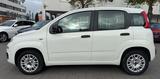 Fiat Panda TÜV AU NEU*KLIMA*USB*ISOFIX*EURO6* - Fiat Panda: I