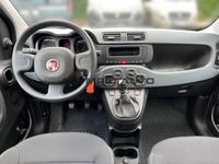 Fiat Panda 1.0 Hybrid Firefly KLIMAANLAGE CITY CRUISE - Image