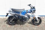 Honda Dax 125 Tageszulassung - #3213