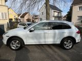 Porsche Cayenne Platinum Edition Chrono Paket - Porsche Cayenne: Platinum Edition