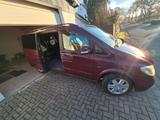 Mercedes-Benz Mercedes Benz  Viano  3,7 - Mercedes-Benz Viano mit Benzin-Antrieb