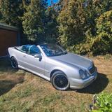 Mercedes-Benz CLK 230 AMG KOMPRESSOR ELEGANCE  - Mercedes-Benz CLK 230 Gebrauchtwagen