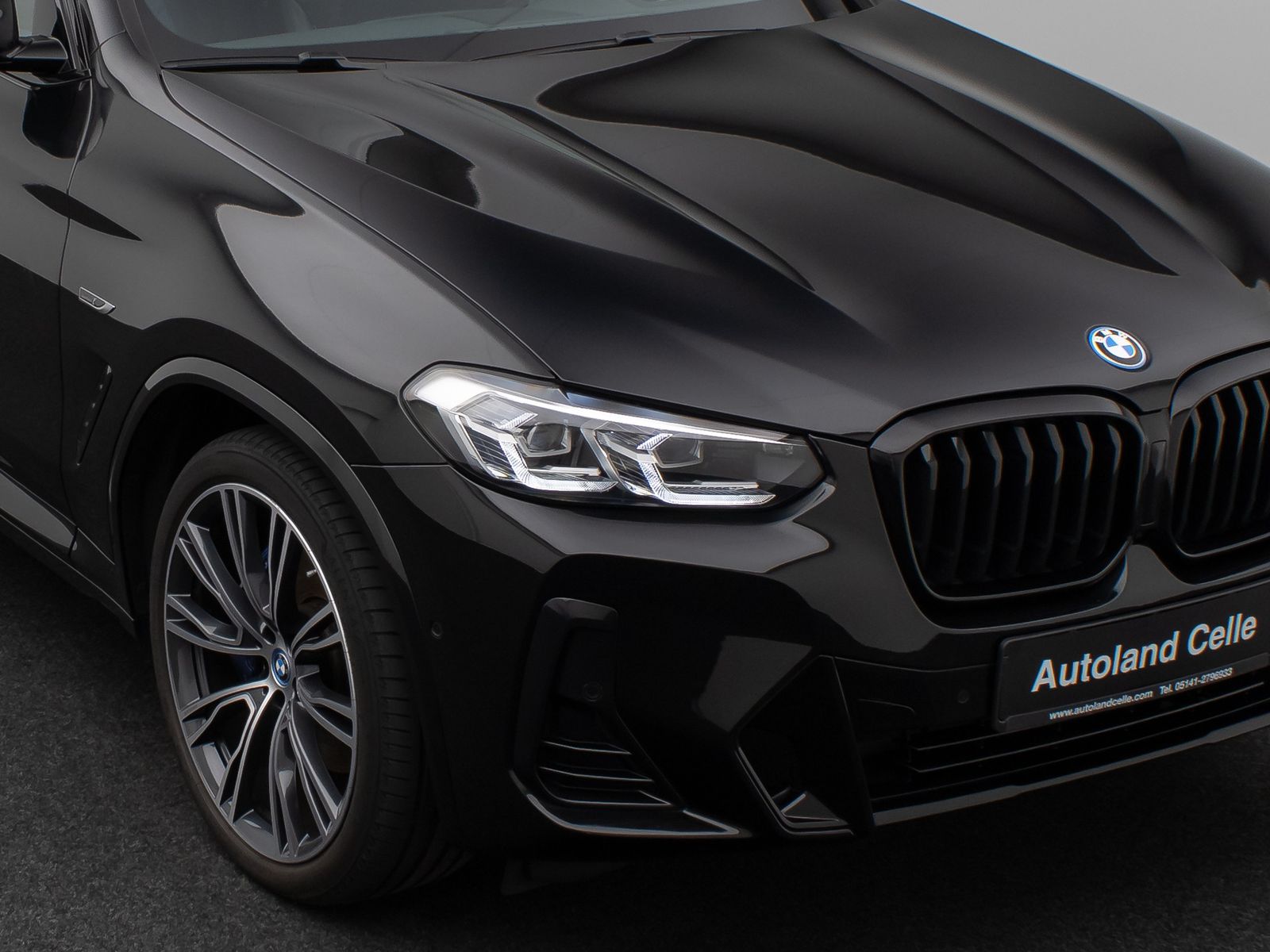 Fahrzeugabbildung BMW X3 xD30e M Sport Panorama Kamera HUD DAB H/K 21"