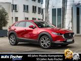 Mazda CX-30 2.0 (186PS) Autom. Exclusive-Line Sitzheiz - Mazda CX-30 Exclusive-Line mit Hybrid-Antrieb (Benzin/Elektro)