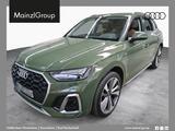Audi Q5 40 TDI quattro S tronic S line Kamera Leder - Audi Q5 mit Diesel-Antrieb: Grün