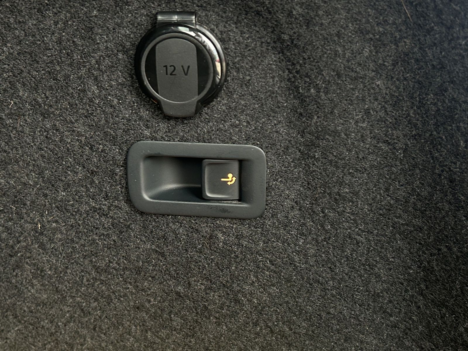 Fahrzeugabbildung Volkswagen Golf VIII Variant Alltrack TDI DSG IQ Light ACC