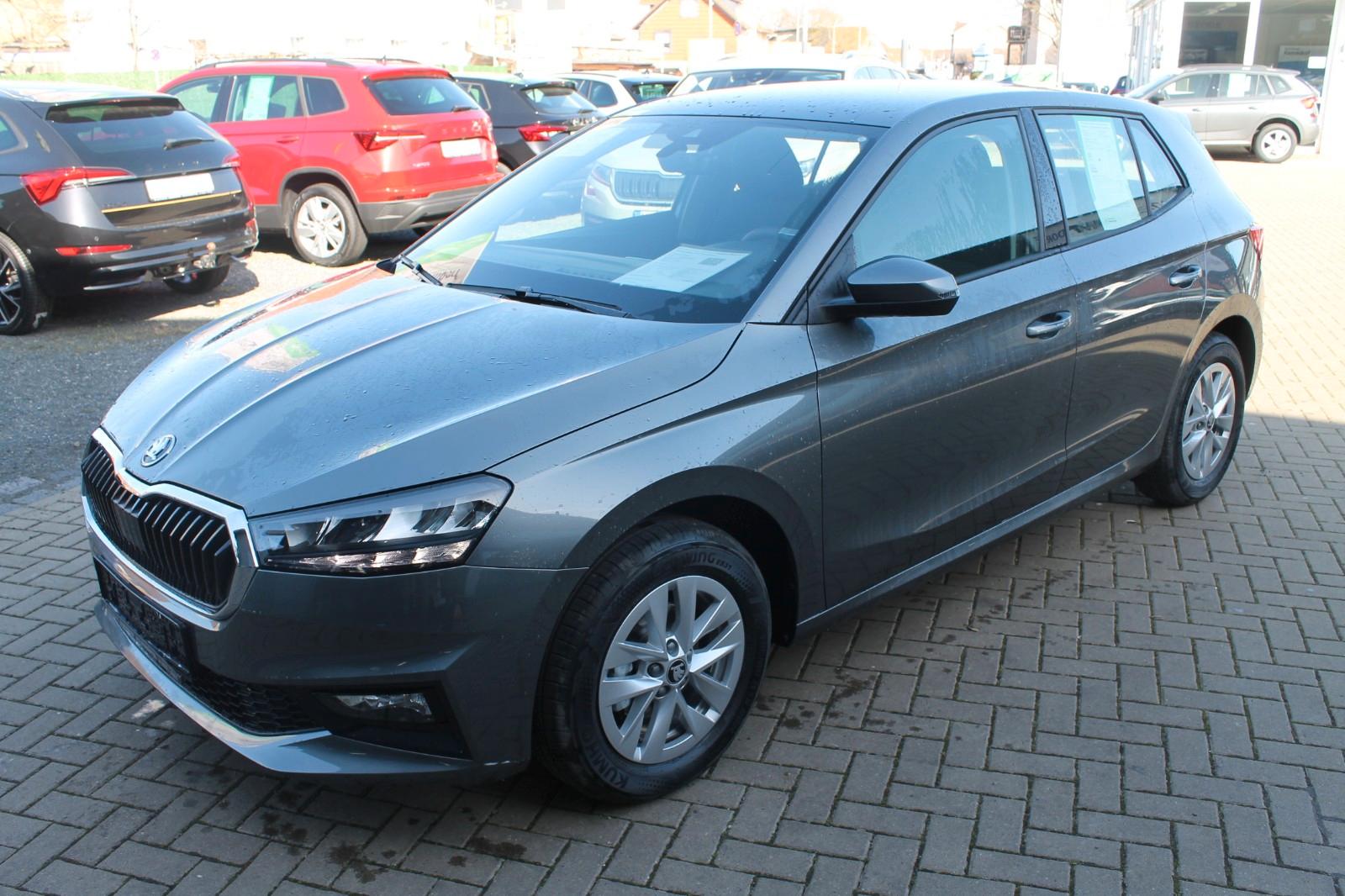 Skoda Fabia 1.0 TSI Selection 5 Jahre Garantie