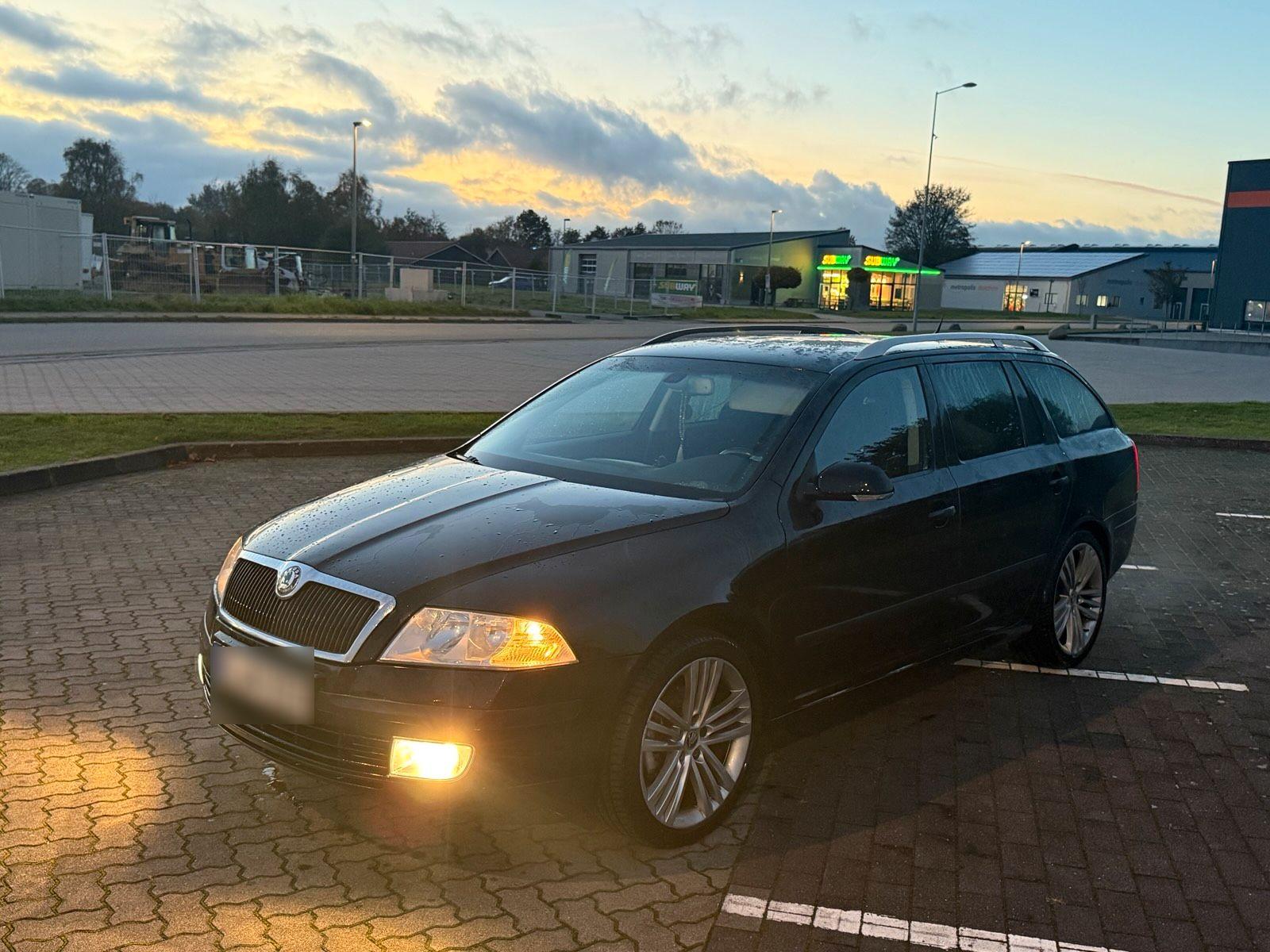 Skoda Octavia 2009 — вигляд ззаду