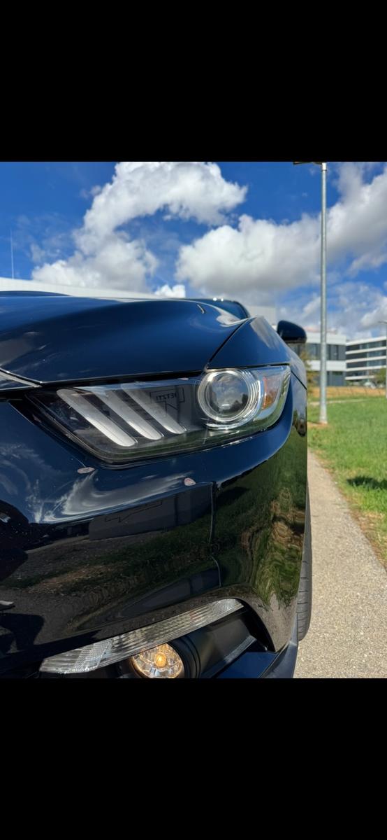Ford Mustang 5.0 V8 GT | Kein Import