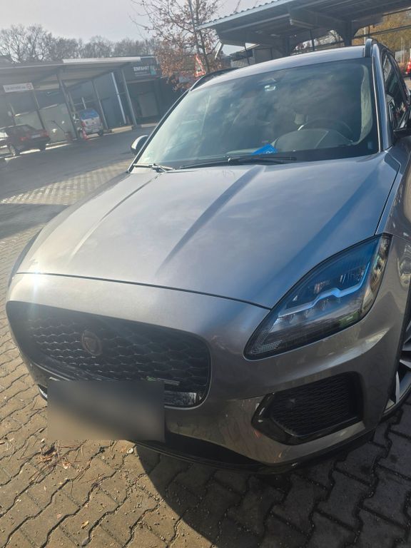 Image of Jaguar Other