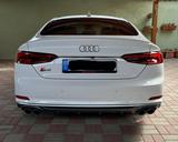 Audi AUDI S5 Sportback 3.0 TFSI quattro *UNFALLFREI* - Audi S5 mit Benzin-Antrieb: Limousine