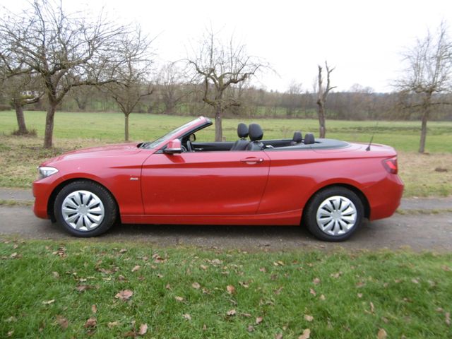 BMW 218i Cabrio Sport Line Navi Klima Leder