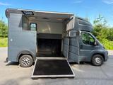 Peugeot Boxer MSG Stablehopper Pferdetransporter 3,5t - graue Peugeot Boxer