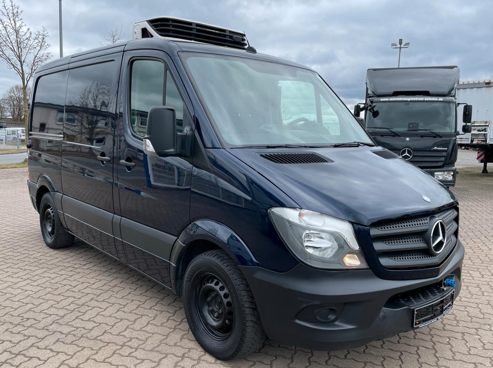 Mercedes-Benz Sprinter 313 CDI FD-Ausbau/Carrier 300/AC/Autom.