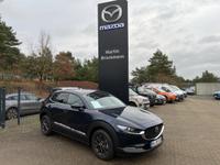 Mazda CX-30 2.5 140 PS e-SKYACTIV G Exclusive-Line Aut