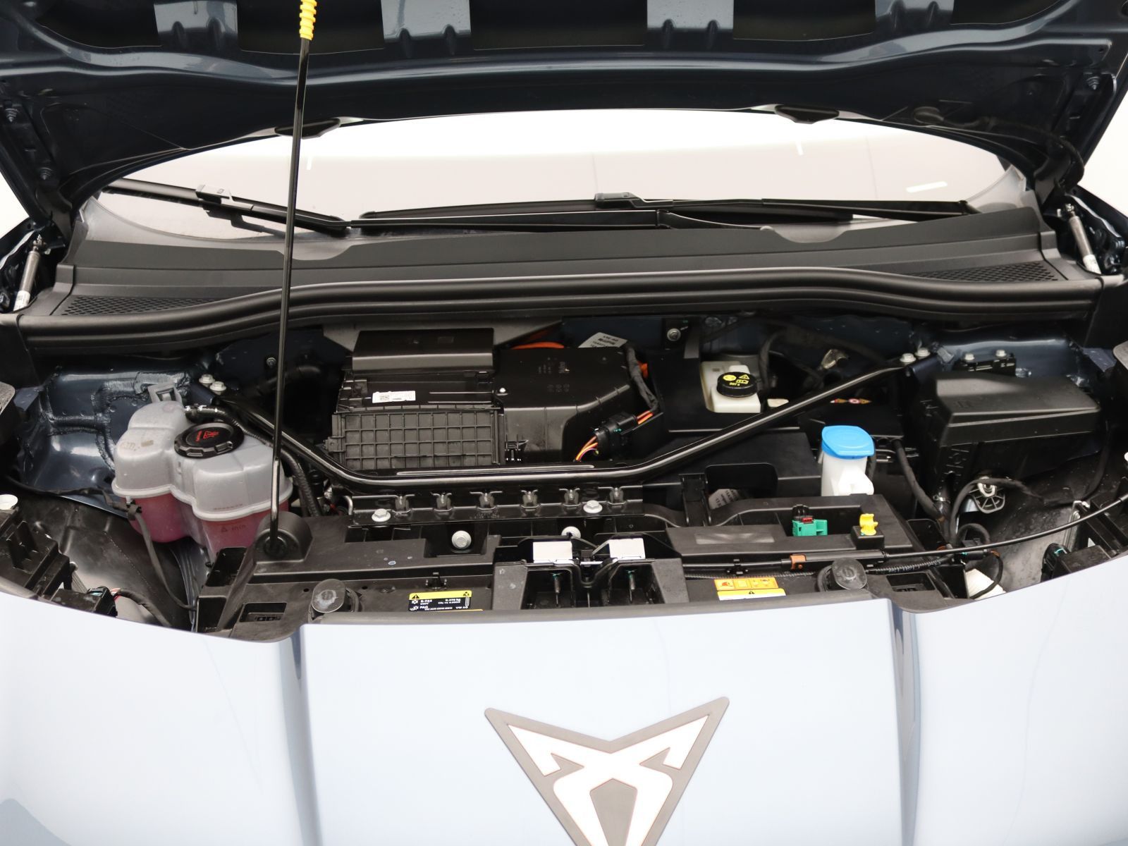 Cupra Tavascan - Bild 18