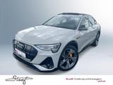 Audi e-tron Sportback S line 55 quattro 300 kW - mit Elektro-Antrieb: Beige, Vollleder