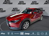 Mazda CX-30 2.0 SKYACTIV-G M Hybrid Selection 2WD - scheckheftgepflegte Mazda CX-30
