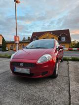Fiat Punto 1.2  - gebrauchte Fiat Punto aus dem Jahr 2008