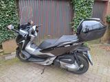 Honda Forza 300 NSS300A - HONDA ROLLER 300