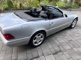 Mercedes-Benz SL 500 - SL Edition mit Neulackierung u. Hardtop - : Cabrio, mit Hardtop