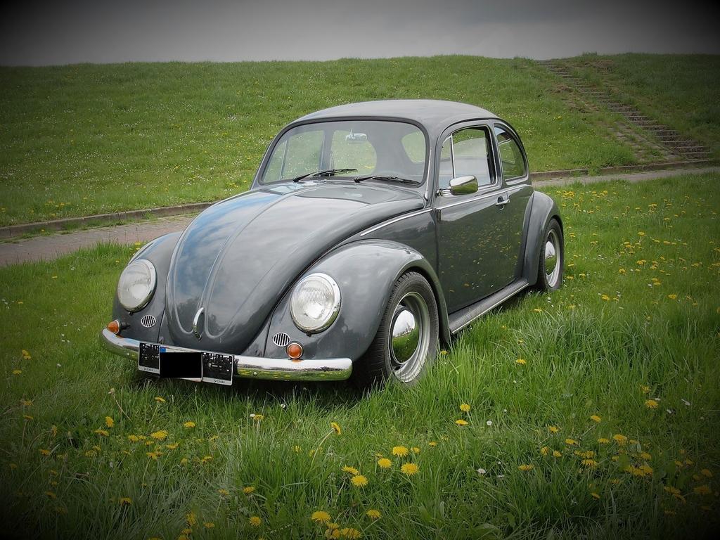 Volkswagen Käfer