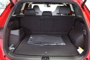 Fahrzeugverkauf 29 Skoda Kodiaq 2.0 TSI 195 kW 4x4 RS Pano AHK StHz