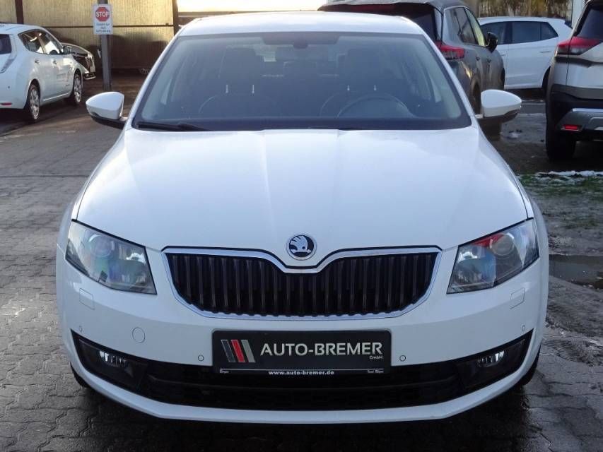 Fahrzeugabbildung SKODA Octavia 1,8 TSI 4*4 DSG    L&K  Standheizung
