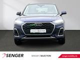 Audi Q5 S line 40 TDI quattro LED ACC AHK Business-P. - Audi Q5 S-line-business