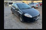 Fiat Punto HU 02,26 komplett Fahrbereit - Fiat Punto in Bonn