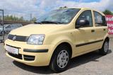 Fiat Panda 1.2 8V Classic - Fiat Panda: Gelb