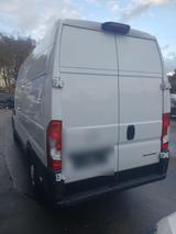 Opel Movano - schwarze Opel Movano