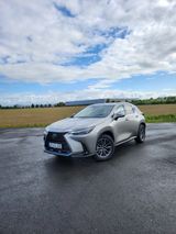 Lexus NX 450h 450h+ E-FOUR Business Line Business Line - Lexus NX 450h Gebrauchtwagen