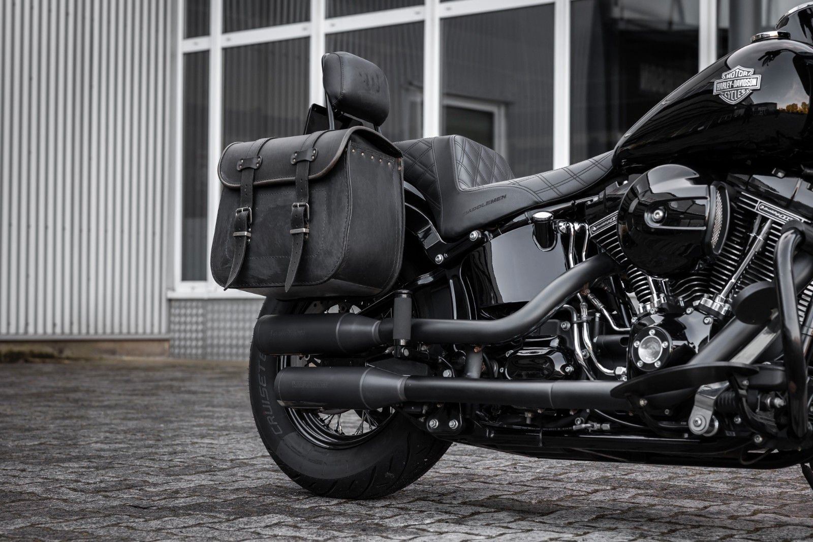 Fahrzeugabbildung Harley-Davidson FLSS SOFTAIL SLIM S 110 cui - Kesstech - Ape