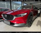Mazda CX-30 Homura 140 PS *Kamera*Navi*LED*Neuwagen*