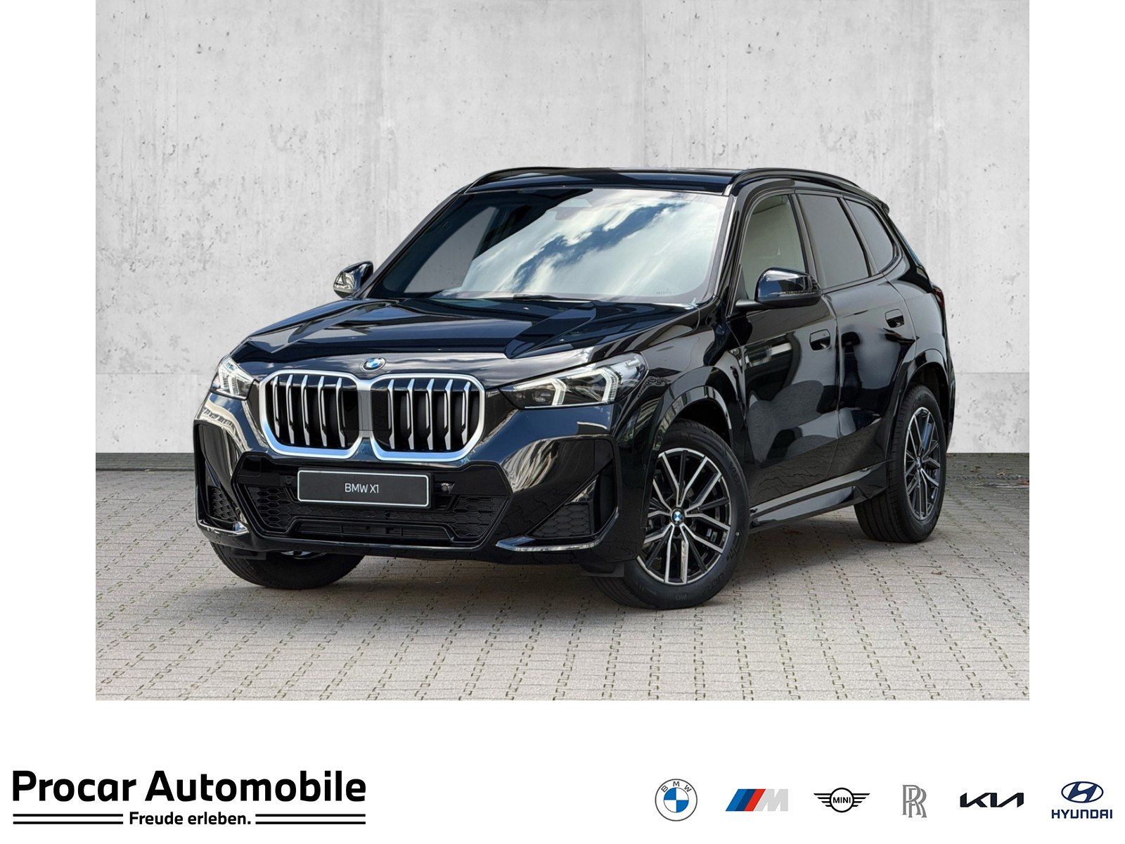 BMW X1 sDrive18d M Sport AHK RFK NAVI LED PDC V+H