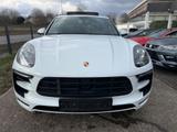 Porsche Macan GTS*ACC*PANORAMA*APPROVED*STANDHEIZUNG* - Porsche aus 2017