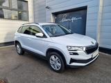Skoda Karoq 2.0 TDI Selection - Skoda Karoq mit Diesel-Antrieb: Geländewagen