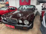 Jaguar XJ6 H-Kennzeichen Oldtimer - Jaguar: Old