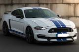Ford Mustang 5.0 TV8 GT - GT 350 OPTIK - Ford Mustang: Gt350