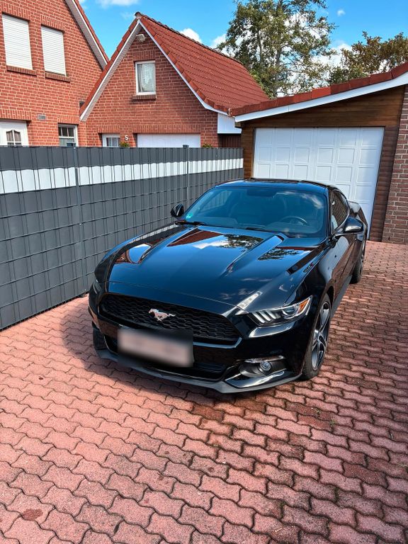 Image of Ford Mustang