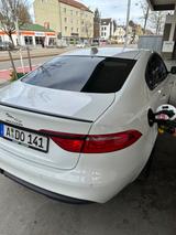 Jaguar XF 20d AWD 180PS Pure Automatik Pure - Jaguar XF von privat