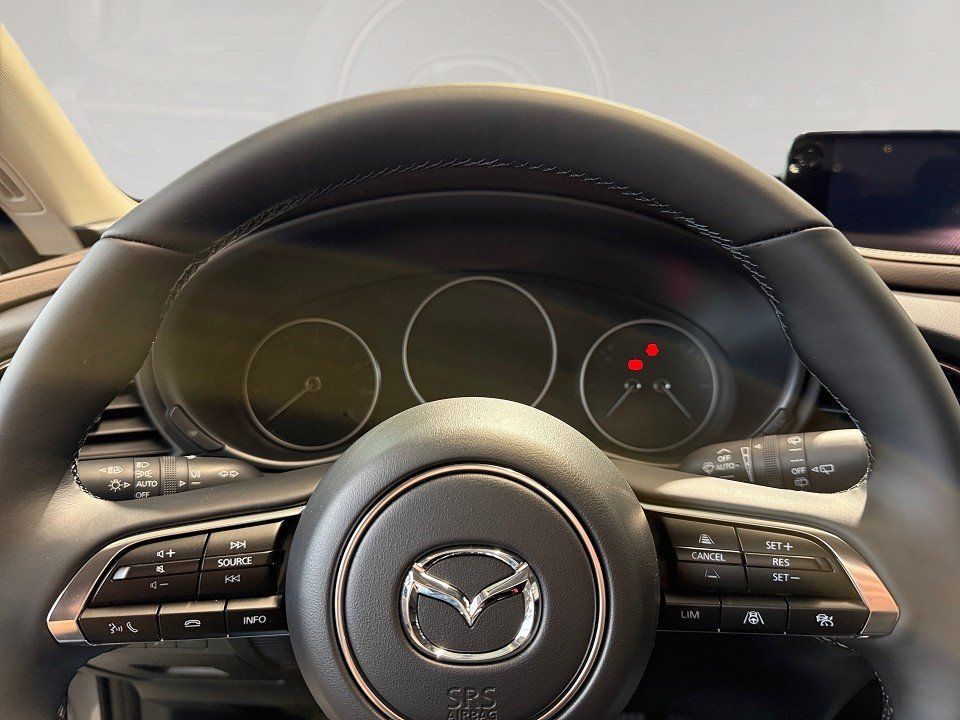 Fahrzeugabbildung Mazda CX-30 2.0 X 186PS Takumi BLOP