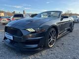 Ford Mustang GT Convertible Shelby 350 /FULL BODYKIT/ - Ford Mustang: Shelby Gt350