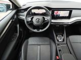 Skoda Octavia Lenkrad & Frontscheibe heizbar AUTOGAS - Skoda Octavia mit LPG-Antrieb: Kombi