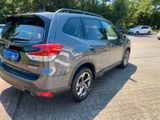 Subaru Forester 2.0ie Black EDITION Platinum Lineartr. - Subaru Forester Jahreswagen