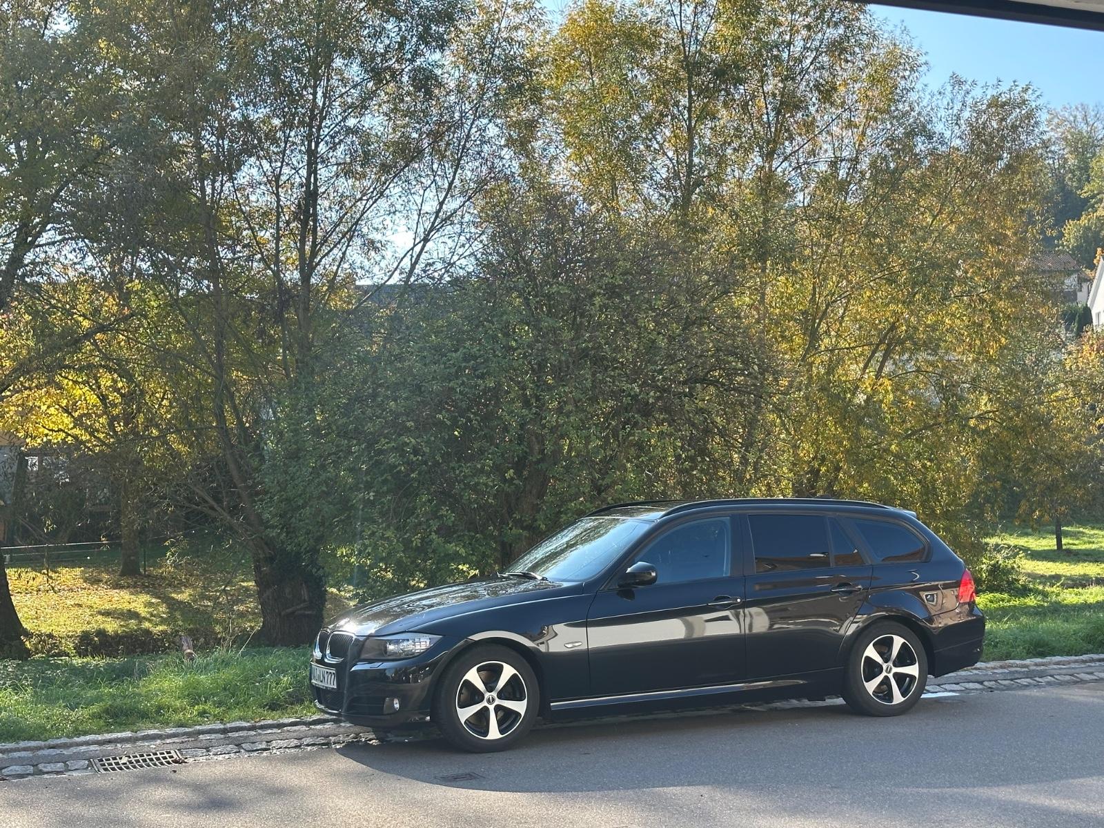 BMW 318 2012 — interior